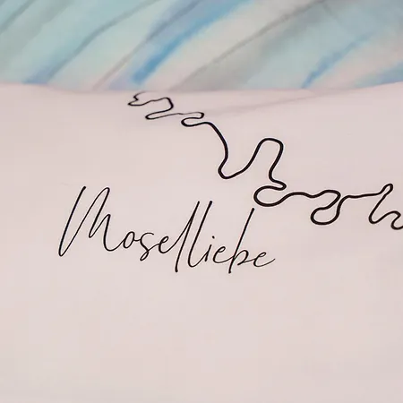 公寓 Dinkel Haus An Der Mosel 特拉本特拉巴赫