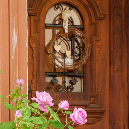Dinkel Haus An Der Mosel * 特拉本特拉巴赫